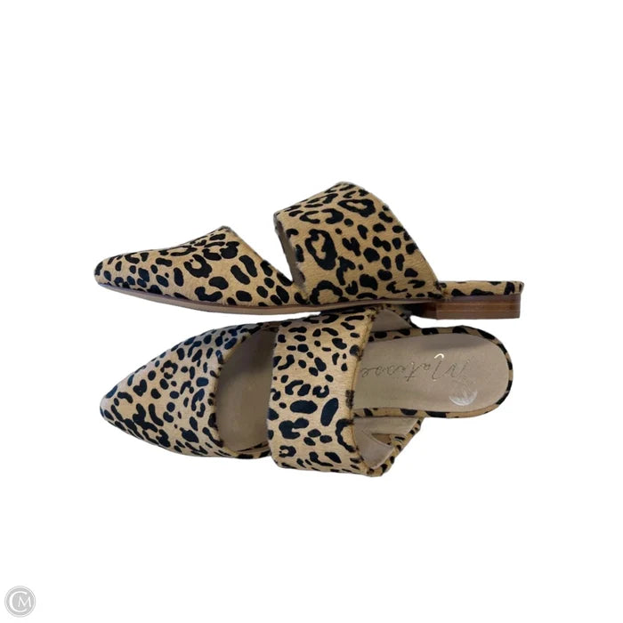 Shoes Flats By Matisse In Animal Print, Size: 9