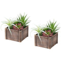 Succulent - 10" Artificial Plant (Set of 2) in a 7"X7" Wood Pot