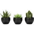 Succulent - 6" Artificial Plant (Set of 3) in a 3" Black Pot