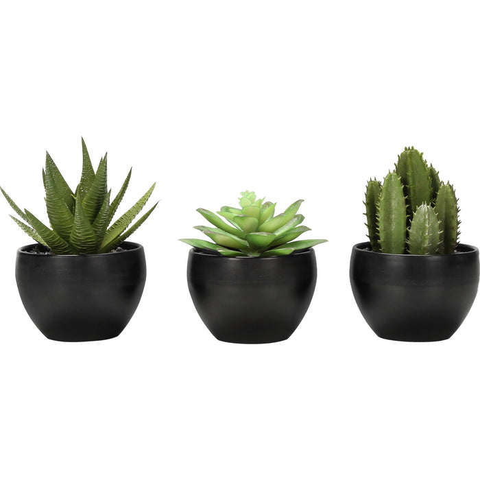 Succulent - 6" Artificial Plant (Set of 3) in a 3" Black Pot