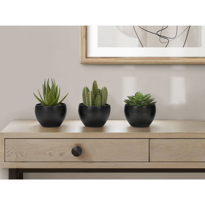 Succulent - 6" Artificial Plant (Set of 3) in a 3" Black Pot