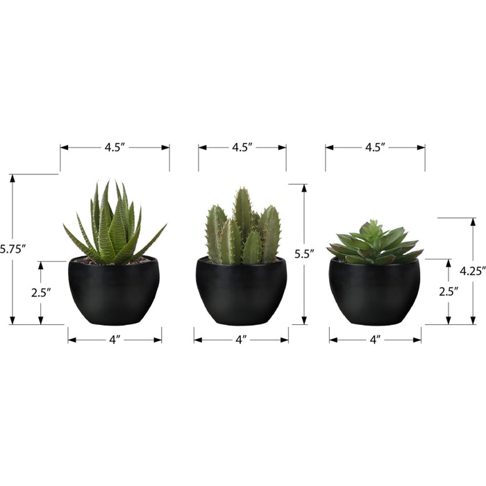 Succulent - 6" Artificial Plant (Set of 3) in a 3" Black Pot