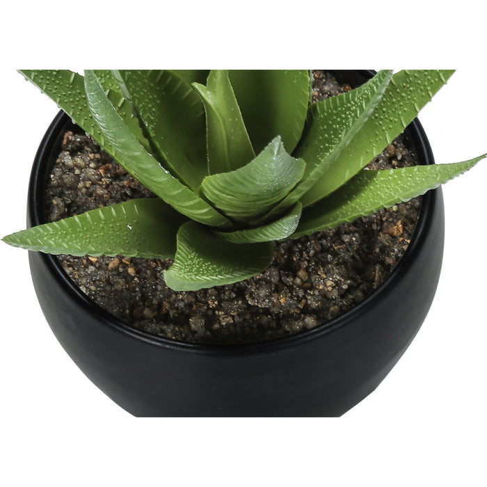 Succulent - 6" Artificial Plant (Set of 3) in a 3" Black Pot