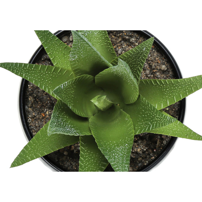 Succulent - 6" Artificial Plant (Set of 3) in a 3" Black Pot