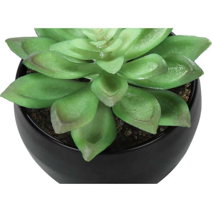 Succulent - 6" Artificial Plant (Set of 3) in a 3" Black Pot