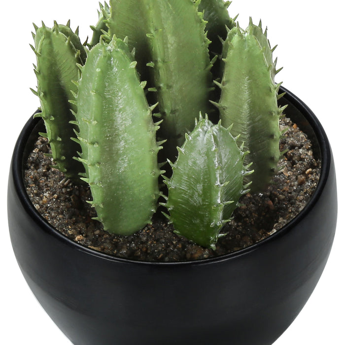 Succulent - 6" Artificial Plant (Set of 3) in a 3" Black Pot