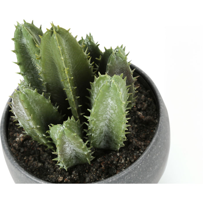 Succulent - 6" Artificial Plant (Set of 3) in a 3" Grey Pot