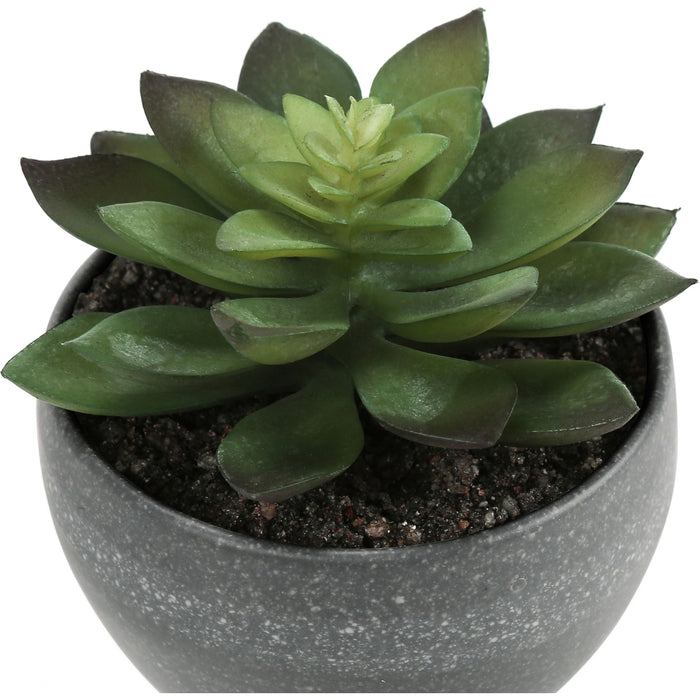 Succulent - 6" Artificial Plant (Set of 3) in a 3" Grey Pot