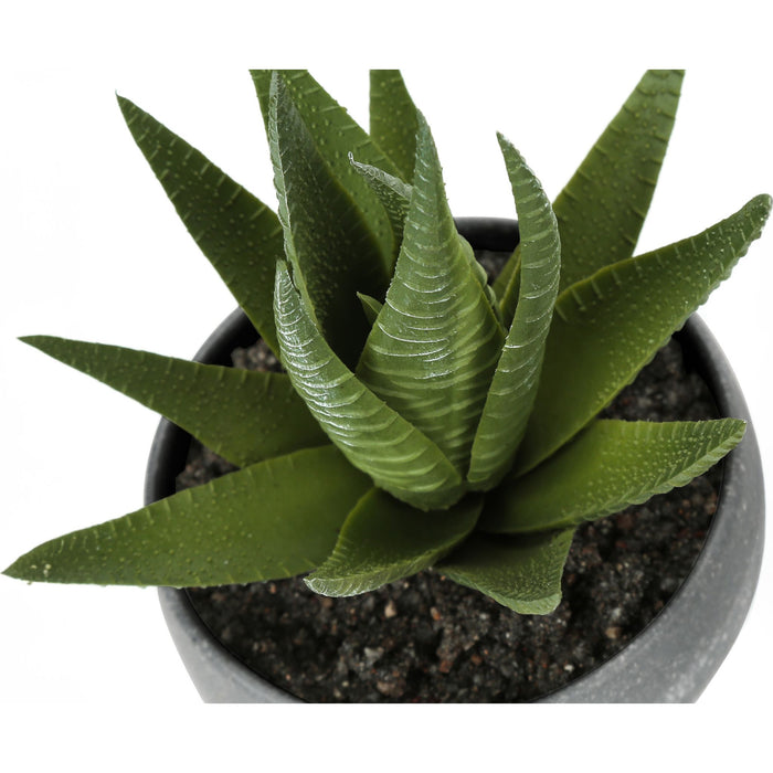 Succulent - 6" Artificial Plant (Set of 3) in a 3" Grey Pot
