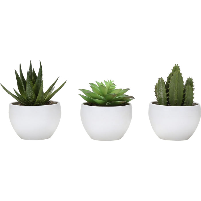 Succulent - 6" Artificial Plant (Set of 3) in a 3" White Pot