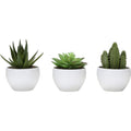 Succulent - 6" Artificial Plant (Set of 3) in a 3" White Pot