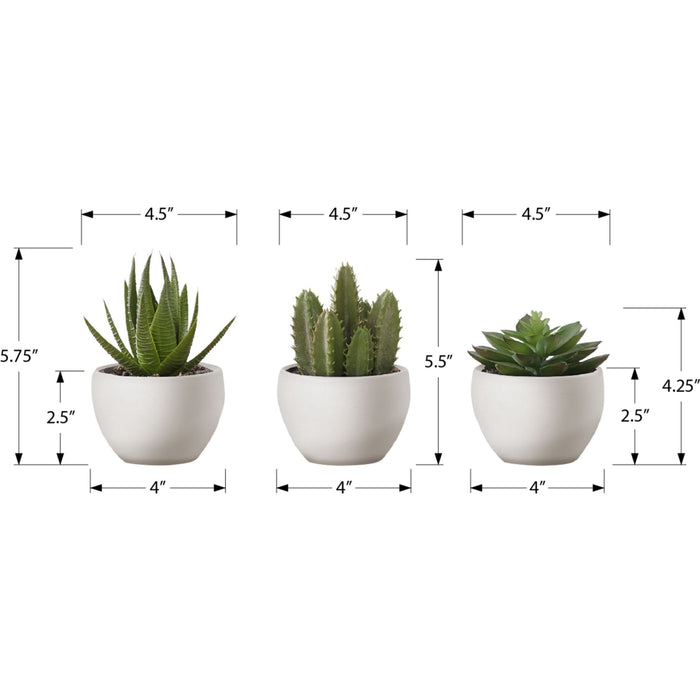 Succulent - 6" Artificial Plant (Set of 3) in a 3" White Pot