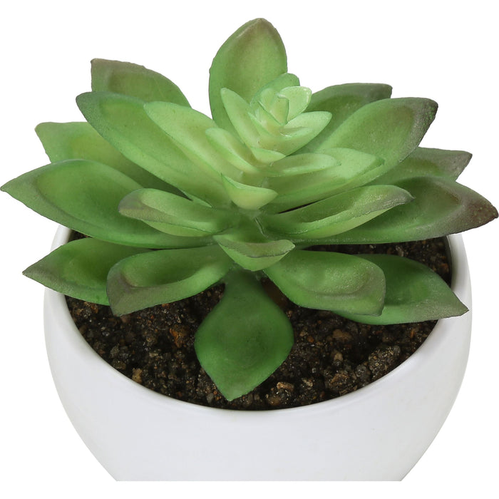 Succulent - 6" Artificial Plant (Set of 3) in a 3" White Pot