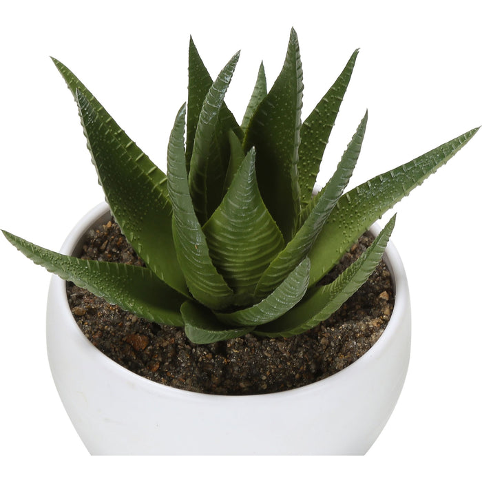 Succulent - 6" Artificial Plant (Set of 3) in a 3" White Pot