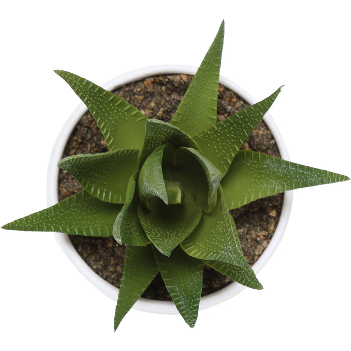Succulent - 6" Artificial Plant (Set of 3) in a 3" White Pot