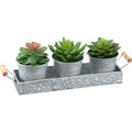 Succulent - 6" Artificial Plant (Set of 3) in a Metal Tray