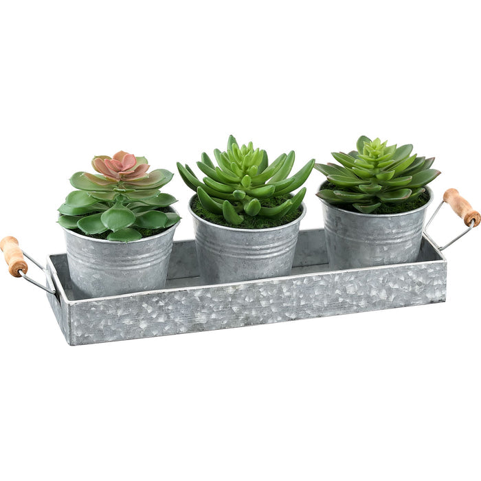 Succulent - 6" Artificial Plant (Set of 3) in a Metal Tray