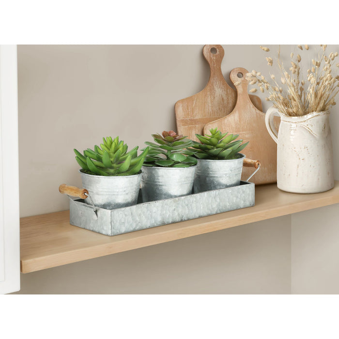 Succulent - 6" Artificial Plant (Set of 3) in a Metal Tray