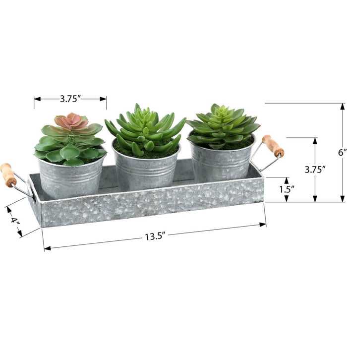 Succulent - 6" Artificial Plant (Set of 3) in a Metal Tray