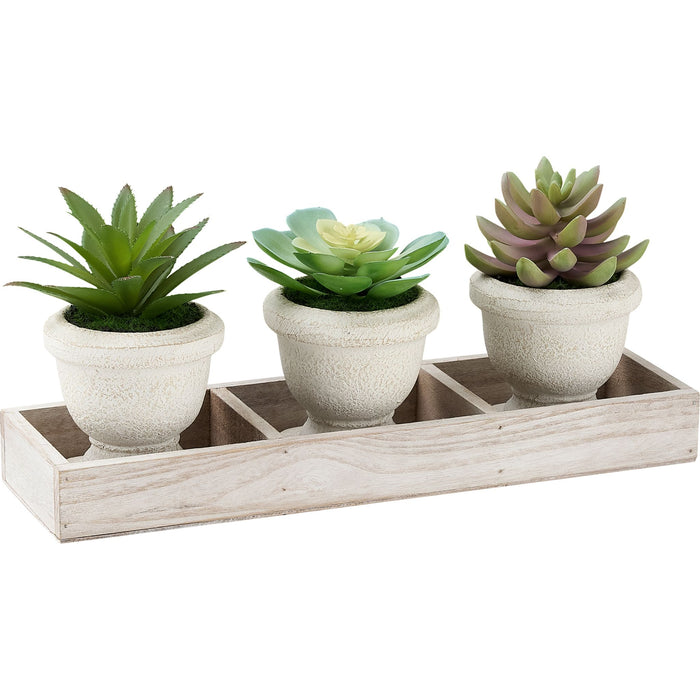 Succulent - 6" Artificial Plant (Set of 3) in a Wood Tray