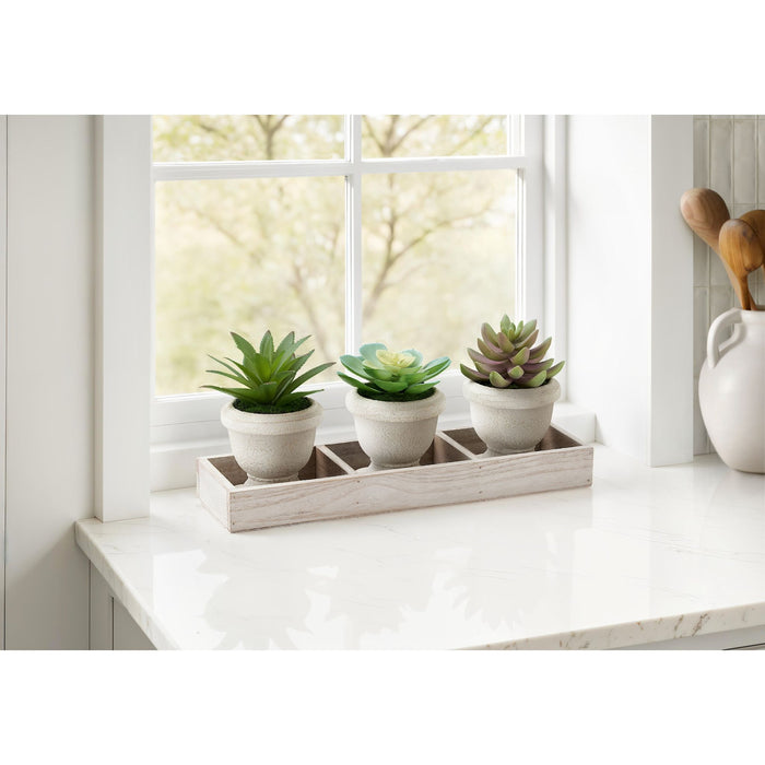 Succulent - 6" Artificial Plant (Set of 3) in a Wood Tray