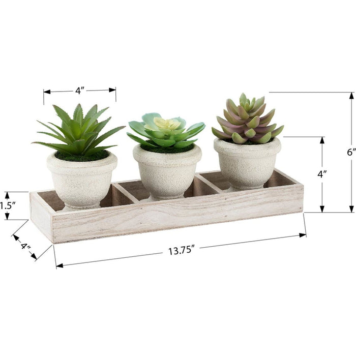 Succulent - 6" Artificial Plant (Set of 3) in a Wood Tray