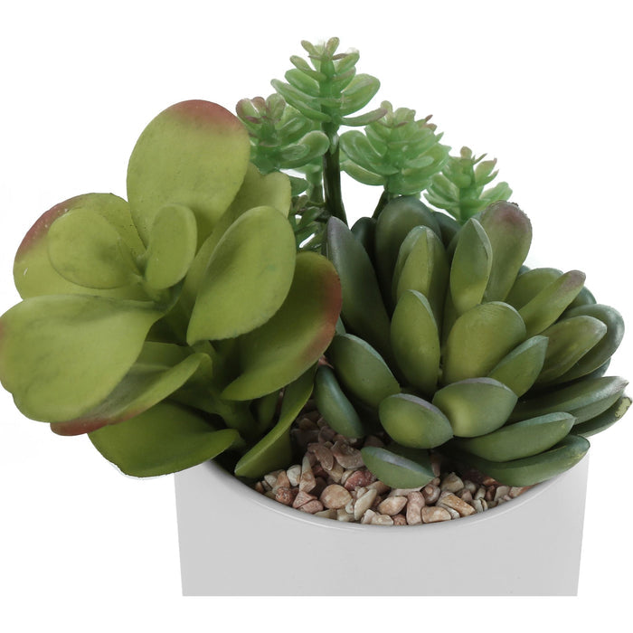 Succulent - 7" Artificial Plant (Set of 2) in a 3" Ceramic Pot