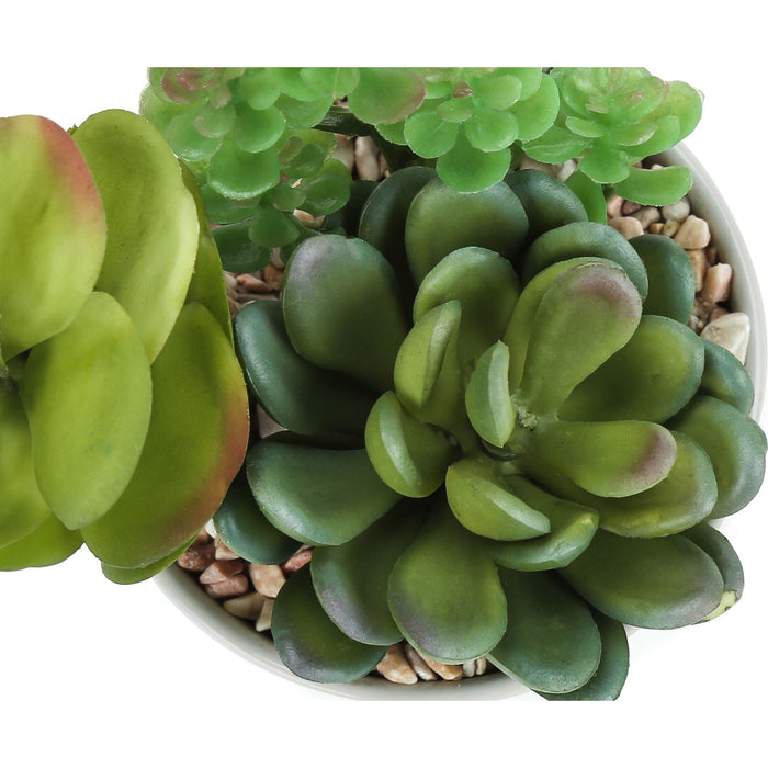 Succulent - 7" Artificial Plant (Set of 2) in a 3" Ceramic Pot