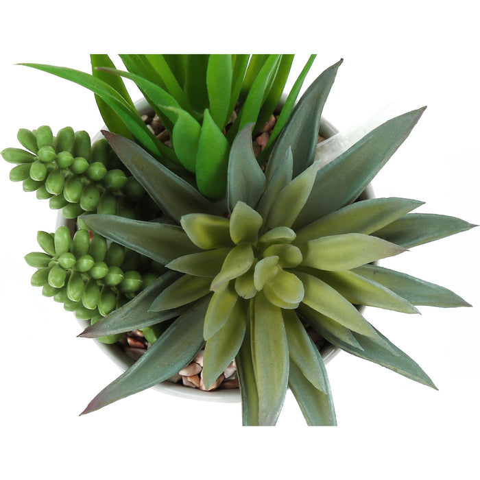 Succulent - 7" Artificial Plant (Set of 2) in a 3" Ceramic Pot