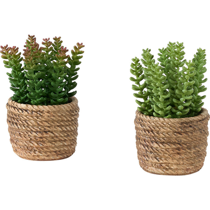 Succulent - 7" Artificial Plant (Set of 2) in a 4" Cement Pot