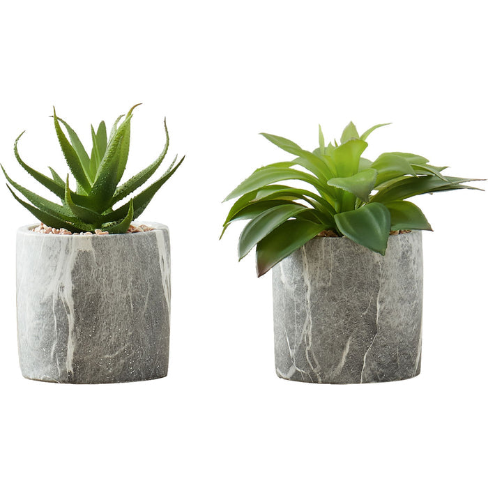 Succulent - 7" Artificial Plant (Set of 2) in a 4" Cement Pot