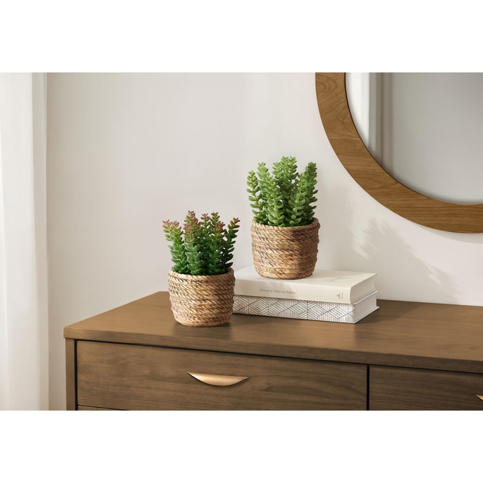 Succulent - 7" Artificial Plant (Set of 2) in a 4" Cement Pot