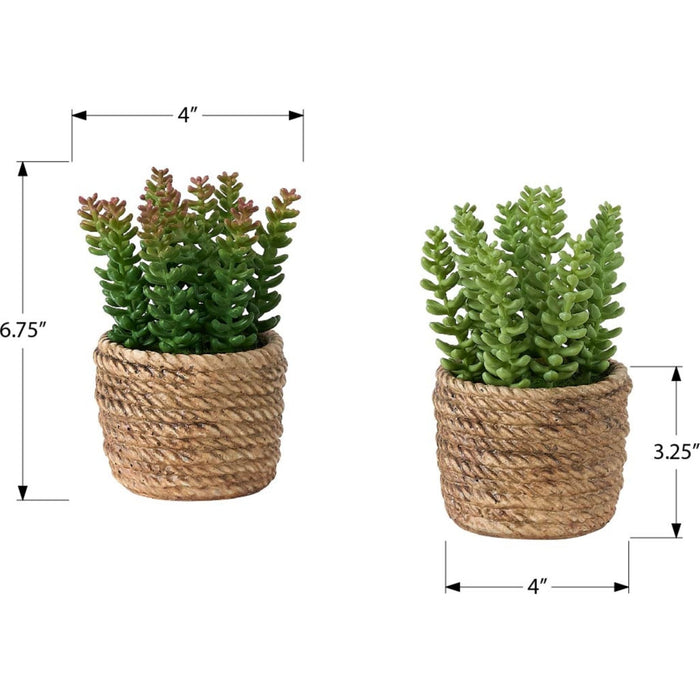 Succulent - 7" Artificial Plant (Set of 2) in a 4" Cement Pot