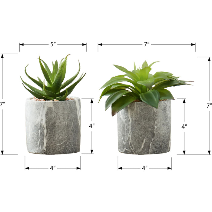 Succulent - 7" Artificial Plant (Set of 2) in a 4" Cement Pot