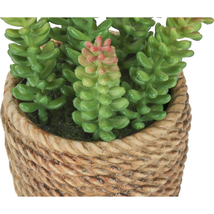 Succulent - 7" Artificial Plant (Set of 2) in a 4" Cement Pot