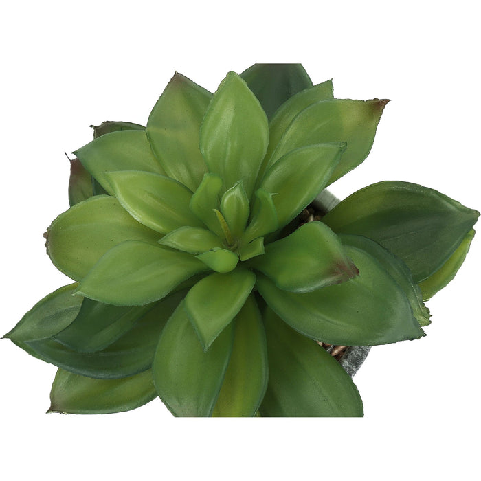 Succulent - 7" Artificial Plant (Set of 2) in a 4" Cement Pot