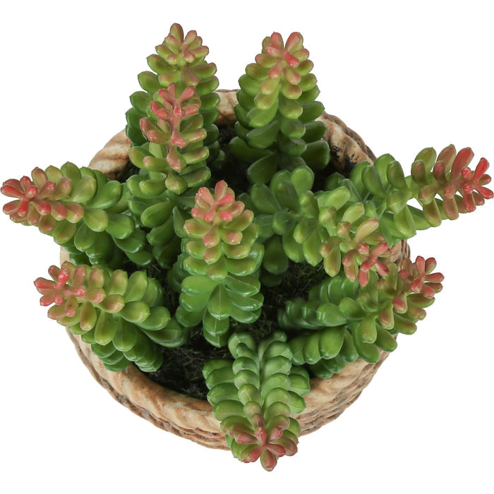 Succulent - 7" Artificial Plant (Set of 2) in a 4" Cement Pot