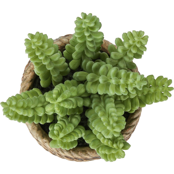 Succulent - 7" Artificial Plant (Set of 2) in a 4" Cement Pot