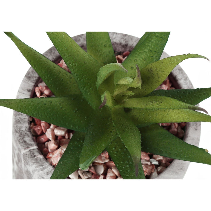 Succulent - 7" Artificial Plant (Set of 2) in a 4" Cement Pot