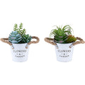 Succulent - 7" Artificial Plant (Set of 2) in a 5" Pot