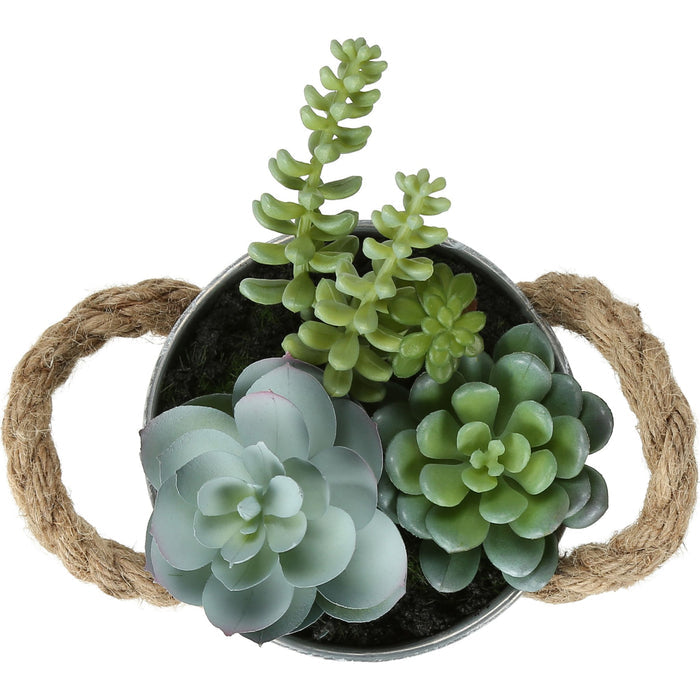 Succulent - 7" Artificial Plant (Set of 2) in a 5" Pot
