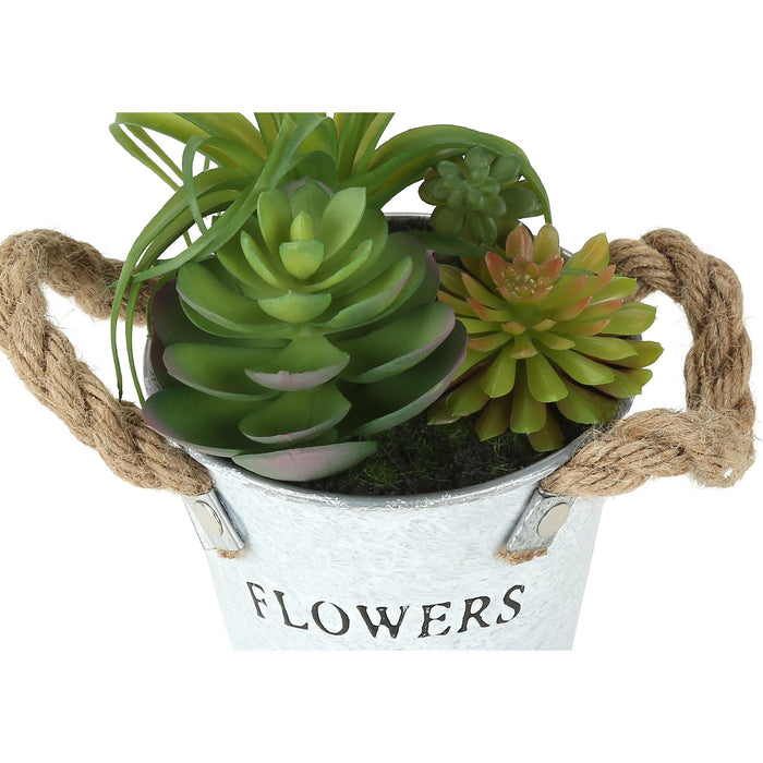 Succulent - 7" Artificial Plant (Set of 2) in a 5" Pot