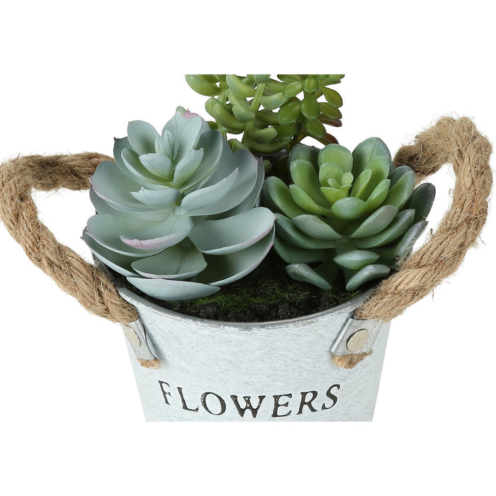 Succulent - 7" Artificial Plant (Set of 2) in a 5" Pot