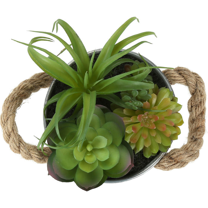 Succulent - 7" Artificial Plant (Set of 2) in a 5" Pot