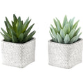 Succulent - 8" Artificial Plant (Set of 2) in a 5" Cement Pot
