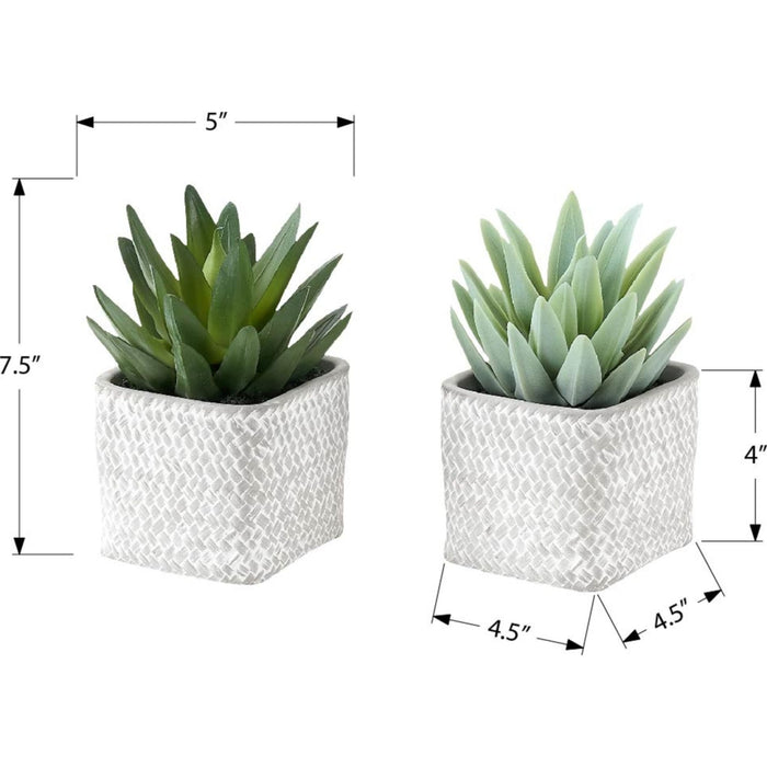 Succulent - 8" Artificial Plant (Set of 2) in a 5" Cement Pot