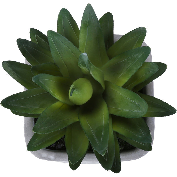 Succulent - 8" Artificial Plant (Set of 2) in a 5" Cement Pot
