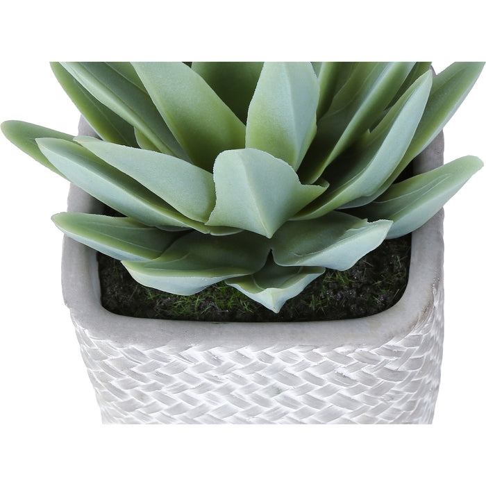 Succulent - 8" Artificial Plant (Set of 2) in a 5" Cement Pot