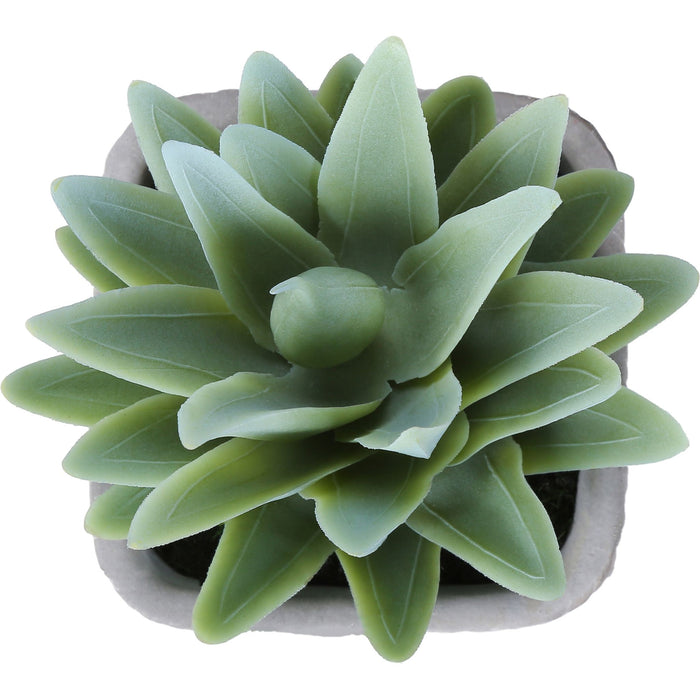 Succulent - 8" Artificial Plant (Set of 2) in a 5" Cement Pot