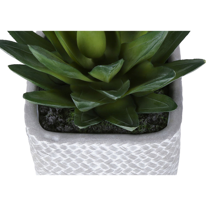 Succulent - 8" Artificial Plant (Set of 2) in a 5" Cement Pot